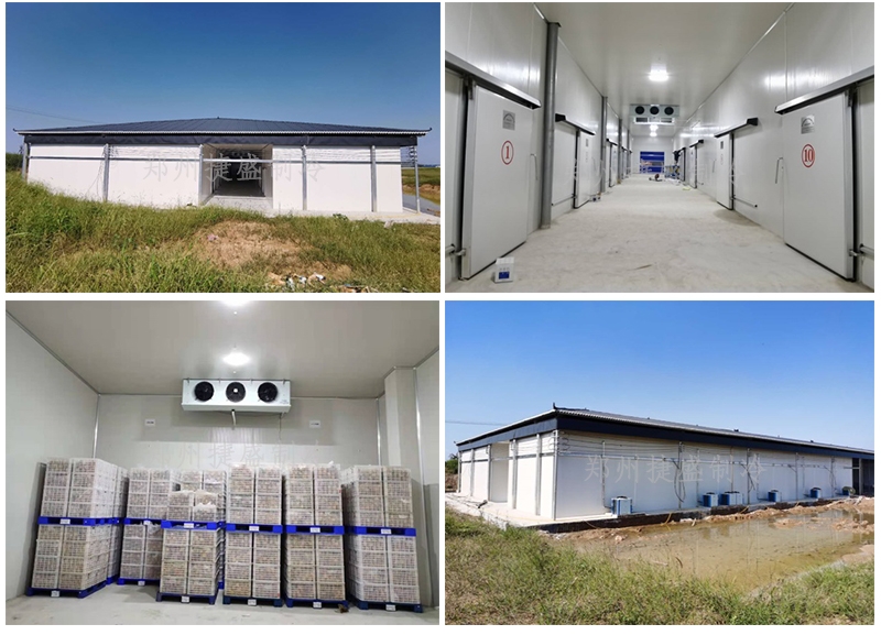 冷庫建造需要哪些關鍵步驟？